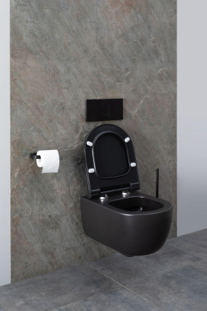 Чаша унитаза подвесная Allen Brau Priority 4.31001.31 цвет черный матовый без сиденья безободковая каскадный смыв