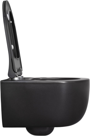 Чаша унитаза подвесная Allen Brau Priority 4.31002.31 цвет черный матовый без сиденья безободковая каскадный смыв