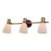 Спот Toplight Sharyl (Схарыл) TL3720Y-03BB