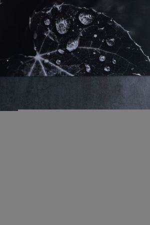 Раковина керамическая Allen Brau Fantasy 4.11022.MT 60х40 накладная цвет зеленый без отверстий под смеситель