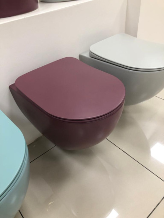 Крышка сиденье для унитаза Creavit Duck KC0903.01.1900E