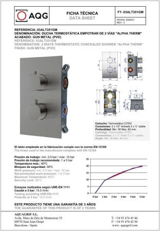 Душевая система AQG Alpha 19ALTEC24212 встраиваемая в стену цвет оружейная сталь