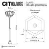 Уличный парковый светильник Citilux Forts (Фортс) CLU10P3