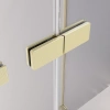 Душевой уголок Veconi Premium Alassio AL-SP-120100-00-G-C4 120х100 стекло прозрачное профиль золото без поддона