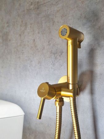 Гигиенический душ со смесителем AltroBagno Modern AltroBagnoModern060117BG золото