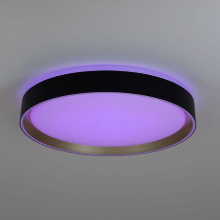 Светильник потолочный музыкальный Citilux Boss (Босс) CL751351G
