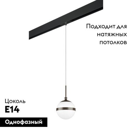Трековый светильник Lightstar Globo (Глобо) PRO813117