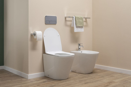 Унитаз приставной Aquanet Atago Atago 2.0 F белый с сиденьем микролифт безободковый каскадный смыв