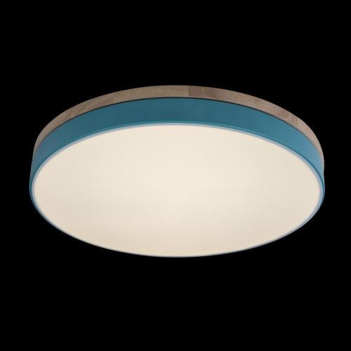 Светильник потолочный Loft It Axel 10001/36 Blue - фото 2