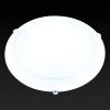Настенно-потолочный светильник Toplight Elizabeth (Елизабетх) TL9091Y-02BL