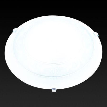 Настенно-потолочный светильник Toplight Elizabeth (Елизабетх) TL9091Y-02BL