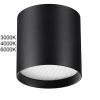 Уличный потолочный светильник Odeon Light Oben (Обен) 7129/8CL