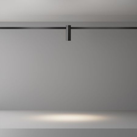Трековый светодиодный светильник Maytoni Technical Focus Led TR143-1-5W3K-W-B