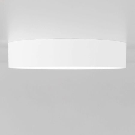 Светильник накладной Citilux Тао CL712180N
