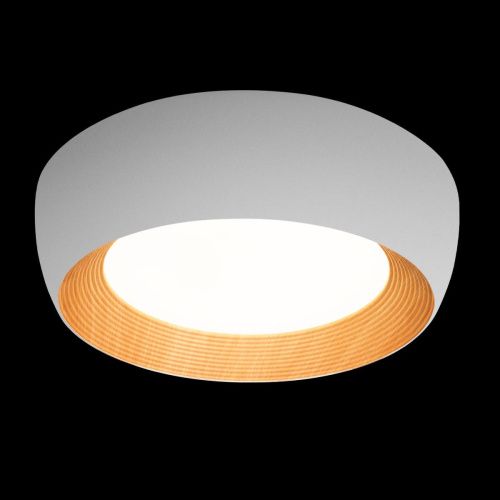 Светильник потолочный Loft It Folk 10255/500 White - фото 2