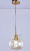 Светильник подвесной Freya Dispel (Диспел) FR5180PL-01BS