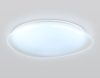 Светильник потолочный Ambrella Light Dance (Данце) FZ1615