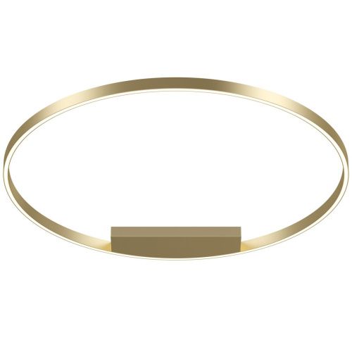 Светильник потолочный Maytoni Rim MOD058CL-L65BS3K - фото 2