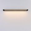 Светильник настенный Lumion Bathli (Батхли) 8313/15WL