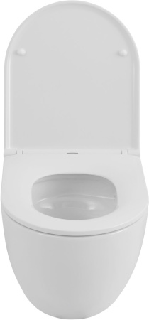 Чаша унитаза подвесная Allen Brau Priority Tornado 4.31009.20 цвет белый без сиденья безободковая душевой смыв