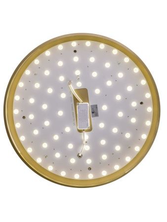 Светильник потолочный Zortes Gabby (Габбы) ZRS.90610.50