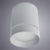 Светильник потолочный Arte Lamp Elle (Елле) A1909PL-1GY