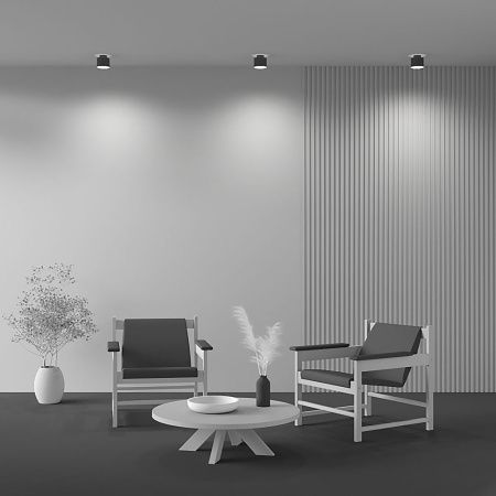 Светильник потолочный Maytoni Technical Planet C009CW-L12B