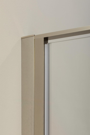 Душевая дверь Allen Brau Priority 3.31026.BA 90х200 стекло прозрачное профиль серебро брашированное