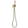 Гигиенический душ со смесителем Abber Wasserfall AF8625G золото