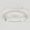 Светильник потолочный Escada 20044led 20044SMA/03LED WH
