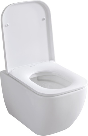 Чаша унитаза подвесная Allen Brau Infinity 4.21004.20 цвет белый без сиденья безободковая каскадный смыв