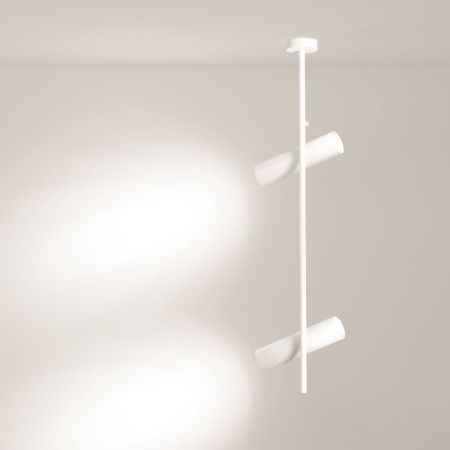 Спот потолочный Maytoni Technical Elti C021CL-02W