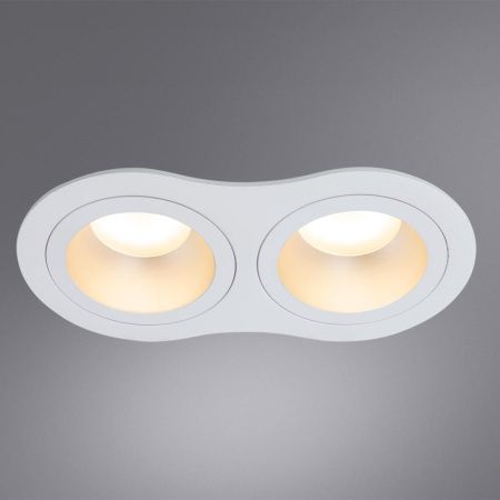 Светильник встраиваемый Arte Lamp Alkes (Алкес) A2161PL-2WH