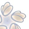 Люстра потолочная Natali Kovaltseva INNOVATION STYLE (ИННОВАТИОН СТЫЛЕ) INNOVATION STYLE 83000