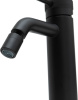 Смеситель Allen Brau Priority 5.31A04-31 на биде черный без термостата Смеситель Allen Brau Priority 5.31A04-31 на биде черный без термостата