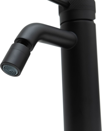 Смеситель Allen Brau Priority 5.31A04-31 на биде черный без термостата Смеситель Allen Brau Priority 5.31A04-31 на биде черный без термостата