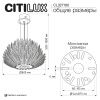 Люстра подвесная Citilux Deltoro (Делторо) CL327160