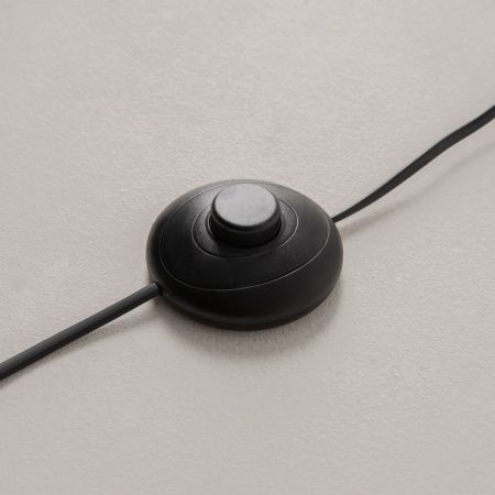 Торшер Maytoni Evolution MOD396FL-L10W3K