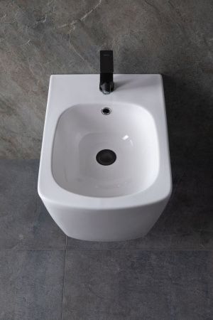 Биде подвесное Allen Brau Liberty 4.33005.20 цвет белый