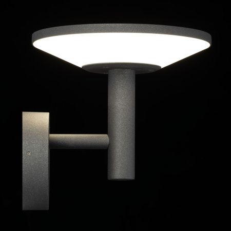 Уличный настенный светильник Citilux Dorn (Дорн) CLU05W