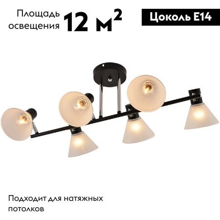 Люстра потолочная Reluce 01553-3.3-06B BK+CR