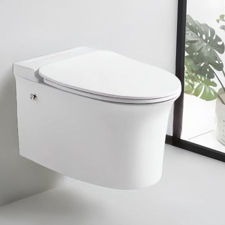 Унитаз подвесной Cerutti SPA CT10195 белый с сиденьем микролифт безободковый импульсный смыв