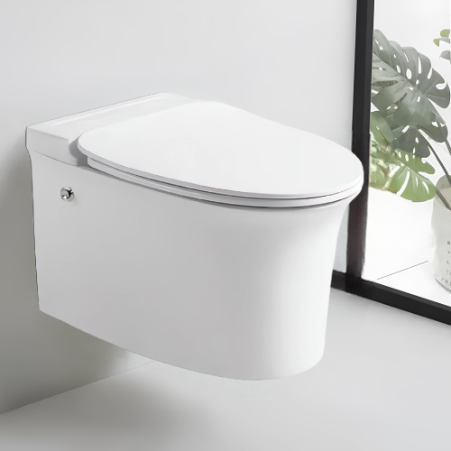Унитаз Cerutti SPA CT10195 подвесной - фото 3