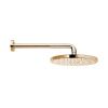 Верхний душ Webert Comfort AC0398010METAL золото