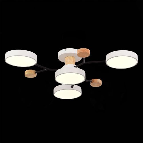 Люстра на штанге Evoluce Faema (Фаема) SLE6006-502-04 - фото 4
