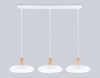 Светильник подвесной Ambrella Light LineTech (ЛинеТецх) FL4840