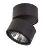 Светильник потолочный Lightstar FORTE MURO (ФОРТЕ МУРО) 213837