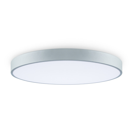 Светильник потолочный Freya Sprida (Сприда) FR6129CL-L80GR