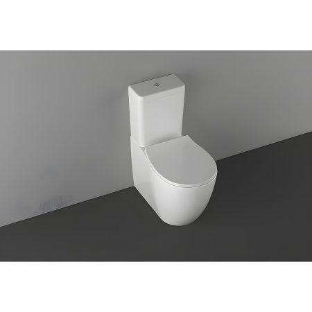 Чаша унитаза напольная Allen Brau Fantasy 4.11009.20 цвет белый без бачка с сиденьем микролифт безободковая каскадный смыв