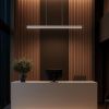 Светильник линейный Citilux Edge (Едге) CL720010N